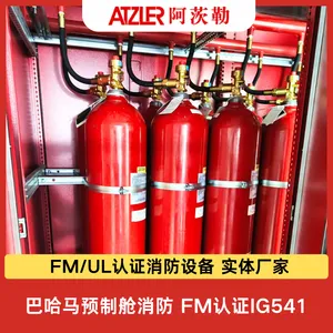 出口项目 巴哈马预制舱消防 FM认证IG541气体灭火系统 美国进口安素