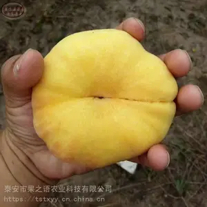 ������۸�ë����硢�����4����������Ʒ�ּ۸����