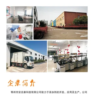 鄂州市安吉康科技有限公司