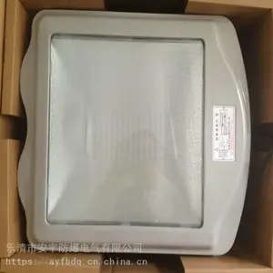 ��ˮ�������𷺹��GT001-L100��ʽ 100W-WF2/IP65
