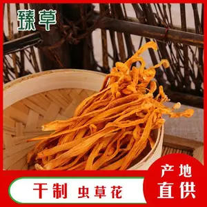 臻草菌业北虫草煲汤方法新鲜虫草花虫草花产地批发零售