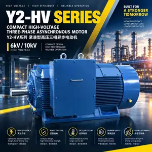 紧凑型高压电动机Y2-HV 355-2-315KW 6KV电机ZODA厂家