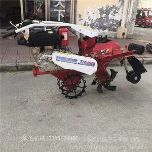 ��԰����ʩ�ʻ��˵ػ� �н���С�Ϳ�����