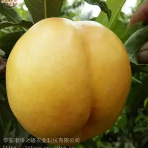 ������۸�ë����硢�����4����������Ʒ�ּ۸����
