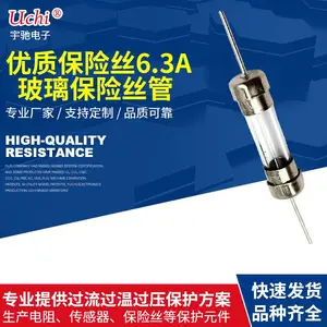 厂家供应玻璃保险管5*20保护器2A250V平头管状保险丝