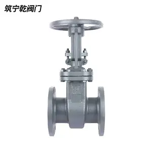 ����Ǭ ����բ�� Z41-16C ����̼��բ�� dn100 ����