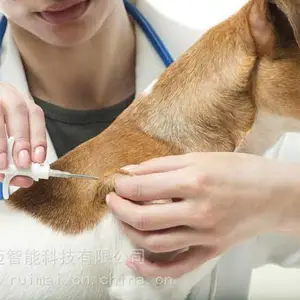 犬只管理芯片厂家