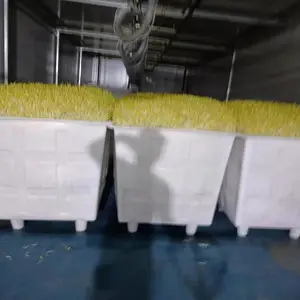河南全自动豆芽生产线