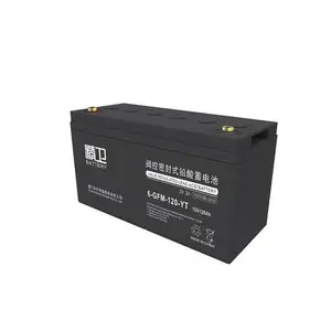 �ƻ���ƿ 6-GFM-100-YT �������� 12V100AH