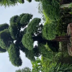 �������޺��ɺϳ� ��ӭ��ѯ �����б������޺���԰��Ӧ