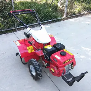 ������ֲ����΢���� ���ͺ������� б�µ�������