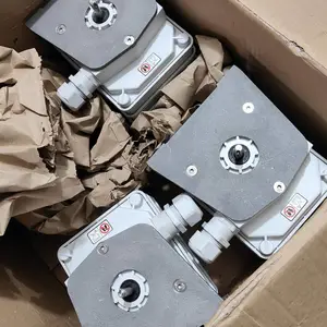 德国Stromag 51系列齿轮凸轮限位开关51_48_BM0Z_499G原厂直接供货