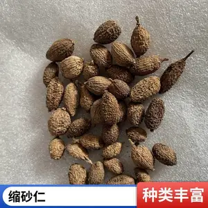 ��ɳ����ҩ ҩʳͬԴ��Ѭ��Ʒ��***������������ֱ��ȫ������