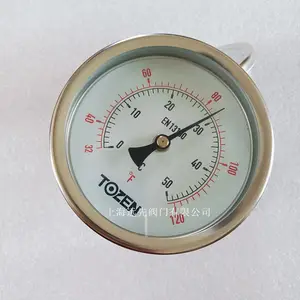 TOZENѹ����0-10kg�ϳ�1.0MPaѹ����4�־�������