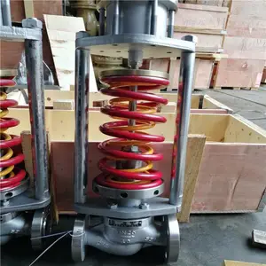 ����ѹ����ѹ�� ZZYP-16B/K ���ֵ��ɱ�Ĥʽѹ����ѹ�� ��ѹ�� ZZYP-16C DN20