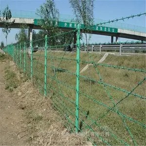 ���������˿-���ܴ���-��п����˿