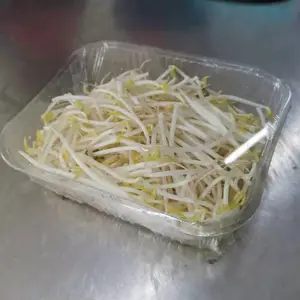 ���ñ���Ĥ_����Ĥ��װ��ר��_�����Ժã������Ժ�