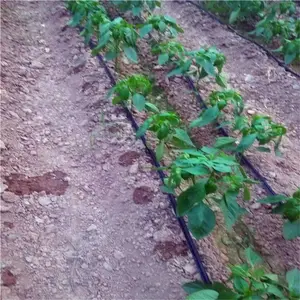 ���ݿ��ٹ���豸΢��ͷɽ�ظ�����