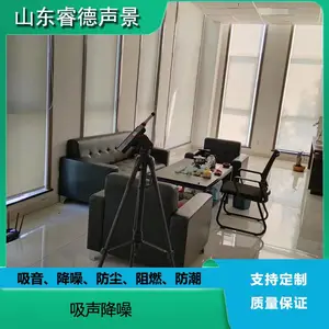 rayde 办公室手动阳光降噪卷帘 会议室家居厂房B1级阻燃吸声窗帘