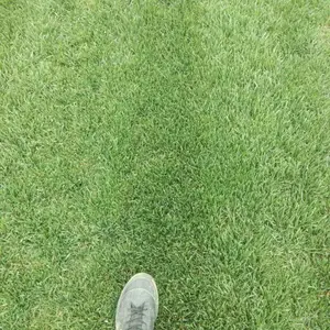 ������ľ����-�첥��ƺ����ì-�󶬲�ͼƬ