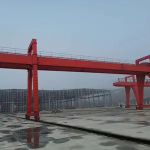 ���Ż����ŵ��ֲ��г����ŵ�����˫����ʽ���ŵ�����