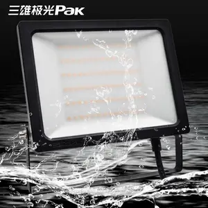 三雄极光PAK465151北极星II系列LED户外投光灯200瓦