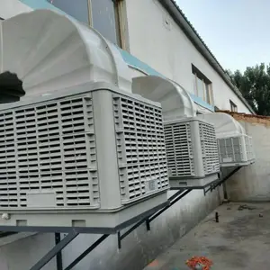 ����㳦���ļ����併�³��ȷ���