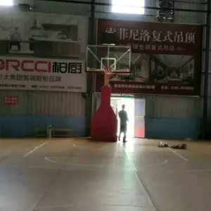 室内电动液压篮球架 专业体育运动场馆比赛用球架
