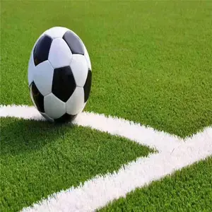 ����ٲ�ƺ ��ƺΧ�� ��ƺ����ǽ