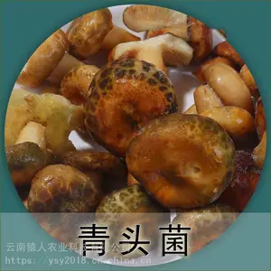 高原食材 冰冻青头 一件1.5公斤 净重2斤 酒店 餐馆 家庭 批发