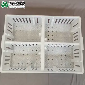 雏鸡筐 小鸡分栏育雏箱 雏鸡用周转筐行情