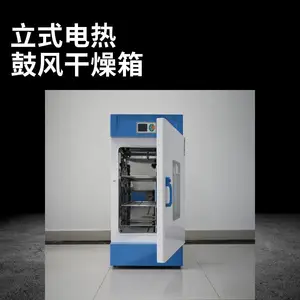 芃奇仪器 RGL立式电热鼓风干燥箱 304不锈钢内胆 智能液晶控温