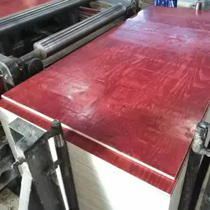 桥梁渠道建筑工程十层桉木胶合板915-1830 标鑫木业
