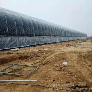 养羊棚设备安装 全自动养羊棚搭建 新式大棚式羊舍建设