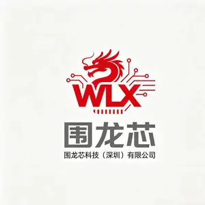 围龙芯科技（深圳）有限公司