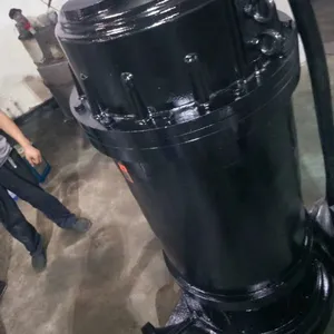 立式污水排污泵40QW15/30污水提升设备/温州排污泵厂家
