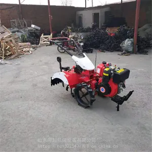 ��԰�������ݻ� ���������ػ� �ַ�ʽ������