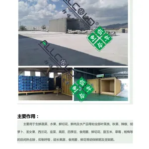 果蔬真空快速冷却机/500公斤生鲜蔬菜真空预冷机/黄花菜/芥蓝/菠菜打热线8618928220791