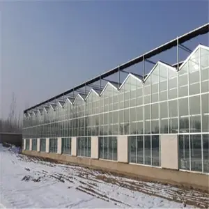 百香果连体棚海口美兰果树温室大棚