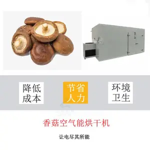 香菇烘干机 野生菌烘干房 菇盖收缩自然 厂家批发 大小可定制