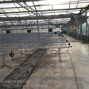 定制苗床网 温室蔬菜育苗床厂家 四川朝天椒育苗床