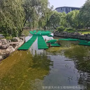 ������άƯ��ʪ��,���︡��/����,�˹�����