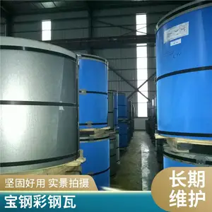 宝钢镀铝锌275克劳尔6028颜色普通聚酯PE彩钢瓦