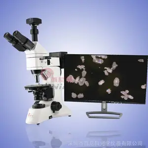 偏光显微镜 透反射 高倍检测 厂家直销三目偏光显微镜