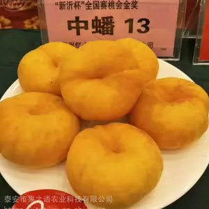 ��������ء�˧ʦ�������硢�´��е������ֻ�