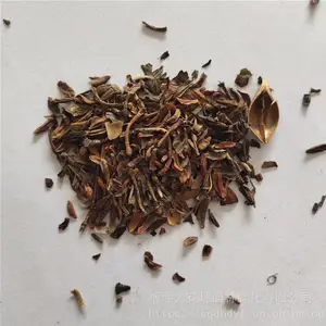 �����²ɹ�ľ���� �������� ��ѿ*** �۸���� ***