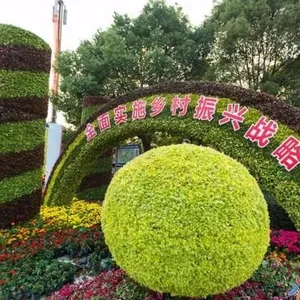 �Ĵ��Թ��ʺ���滨��ɶ��̵�***