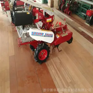 �����ַ������� С���ڹ��� ������¢����������