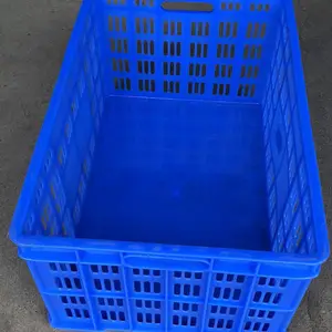 北海塑料箱 平底周转箱 蓝色加厚鸭蛋收纳框