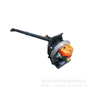 �������ʹ�ѩ�� ԰���̻�����Ҷ�� ����·����촵���